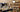 Shopify Webwinkel Rambling Rose