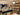 Shopify Webwinkel Rambling Rose