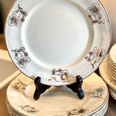 Speiseteller - Boch - Modell CAPRI