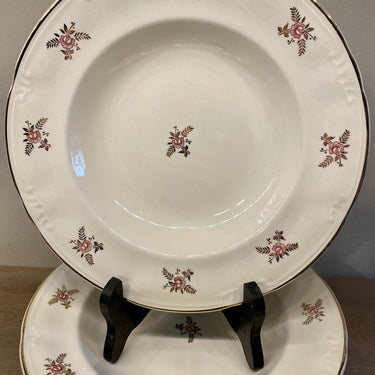Teller, tief / Suppenteller / Pastateller - Boch La Louvière - Form CAPRI - Dekor SUZON