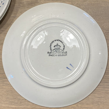 Tasse und Untertasse - Nimy - robustes Modell - Sprühdekor einer grauen/dunkelroten Blume