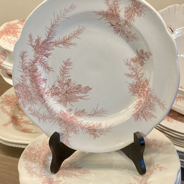 Dinner plate - Wedgwood - decor ETRURIA GORSE red/pink - Rd.No. 153229