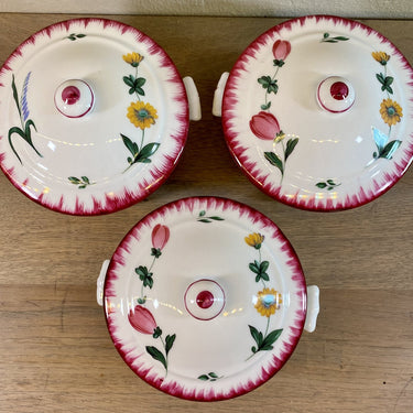 Lidded dish - APILCO - Porcelaine France - floral decor plus lid and ears