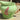 Krug / Wasserkrug / Milchkännchen - CarltonWare - FOXGLOVE-Dekor (auch „Saladware“ genannt)