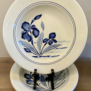 Deep plate / soup plate / pasta plate - Nimy - decor by IRIS in blue spray decor