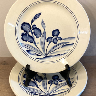 Dinner plate - Nimy - decor by IRIS in blue spray decor