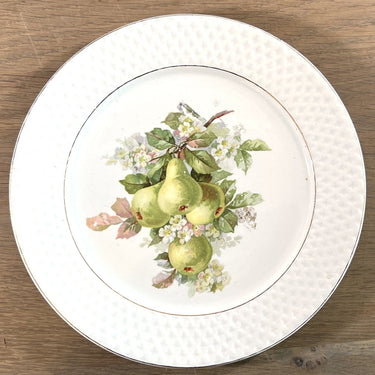 Ontbijtbord / Dessertbord / Fruitbord - Societe Ceramique Maestricht - décor in verschillende soorten fruit