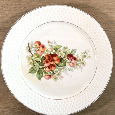 Ontbijtbord / Dessertbord / Fruitbord - Societe Ceramique Maestricht - décor in verschillende soorten fruit