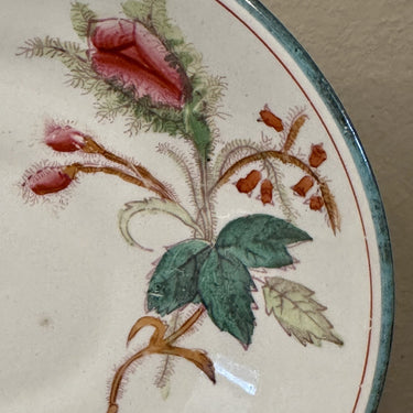 Underplate / Dish - Petrus Regout - MOSROOS decor with a light blue edge