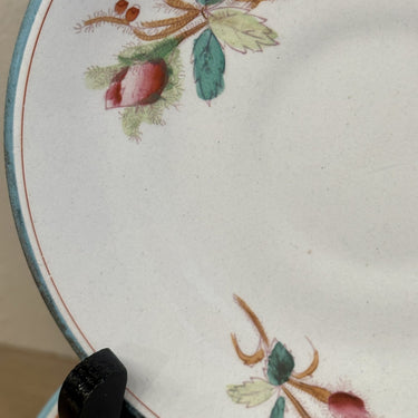 Underplate / Dish - Petrus Regout - MOSROOS decor with a light blue edge