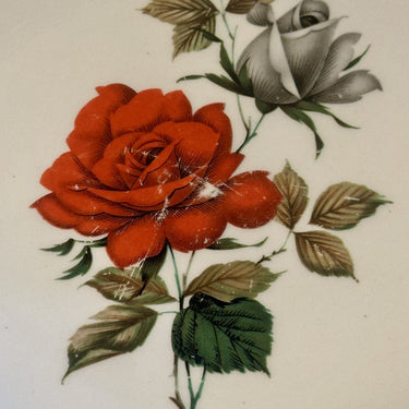 Tiefer Teller / Suppenteller / Pastateller - Boch - Dekor mit Abbildung einer roten und grau/weißen Rose