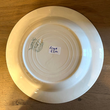 Tiefer Teller / Suppenteller / Pastateller - Boch La Louvière - Form PARIS - Dekor mit rosa Rosen und einer gelb-blau-grünen Girlande am Rand