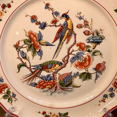 Plate / Decorative plate - Villeroy &amp; Boch Mettlach - PHOENIX decor with birds of paradise - decor no. 1570 - in red, blue, yellow, and green with a red fillet edge on a scalloped rim