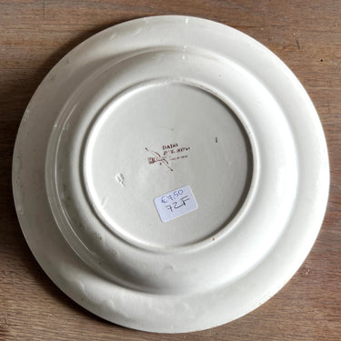 Deep plate / Soup plate / Pasta plate – Ridgway – DADO brown decor with flying bird and apple blossom