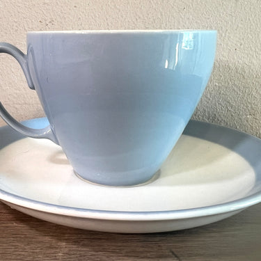 Kop en schotel - Petrus Regout - uitgevoerd in grijs/blauw pastel kleur