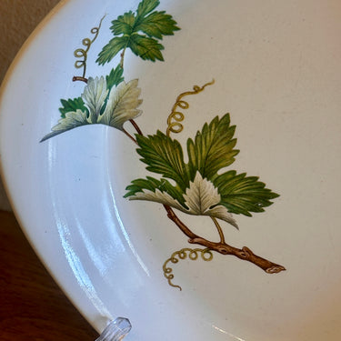 Ovenschaaltje - met oren/handgrepen - Villeroy & Boch Luxembourg - décor van wijnranken in groen