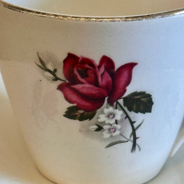 Kop en schotel - Boch - décor POMPADOUR met goudkleurig biesje - vorm VEDETTE