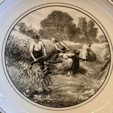 Diep bord / Soepbord / Pastabord - Villeroy & Boch - décor AUDUN FERME