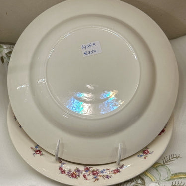 Deep plate / Soup plate / Pasta plate - unmarked but Petrus Regout - decor with pink/red straw flowers