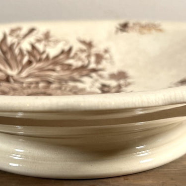 Tazza / Schaal - op lage voet - ongemerkt - décor van bloemen uitgevoerd in bruin