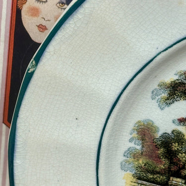 Plate / Decorative plate - Pierre Regout Maastricht - COUNTY decor multi-coloured/polychrome