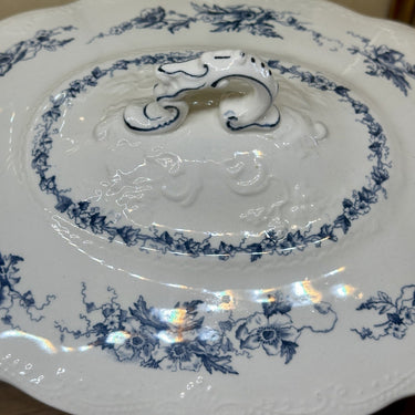Terrine / Covered dish - oval model - Petrus Regout - model MAASTRICHT - decor COQUELICOT in blue