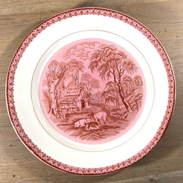 Teller / Speiseteller / Dekoteller - Nimy - Dekor in rosa/dunkelrosa