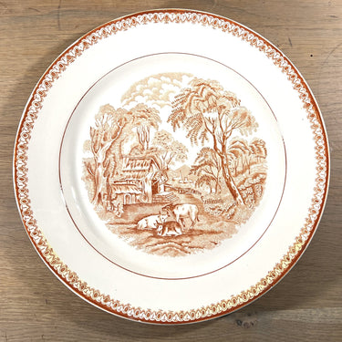 Teller / Speiseteller / Dekoteller - Nimy - Dekor in braun