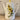 Kaffeekanne - Boch oder Villeroy &amp; Boch (nicht gemarkt) - Dekor MARGUERITES / MARGRIETEN
