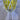 Glass on foot - VMC Reims (Verreries Mècaniques Champenoises) - Harlequin in yellow