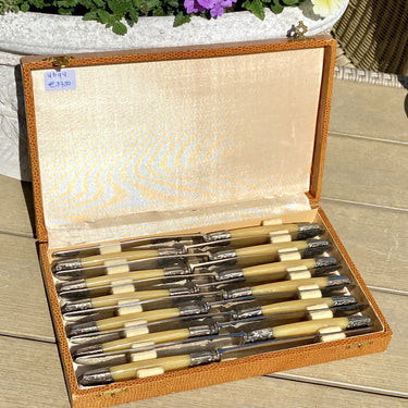 Knives - 12 pieces in light brown box - CARLINOX Garanti - with light brown plastic handle and silver-plated parts