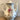 Coffee pot / Coffee pot - Mosa 1930s-1940s - Dahlia decor