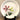 Ontbijtbord - Sarreguémines - décor FLOREAL