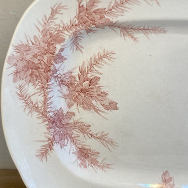Rectangular bowl - Wedgwood - ETRURIA GORSE decor red/pink - Rd.No. 153229